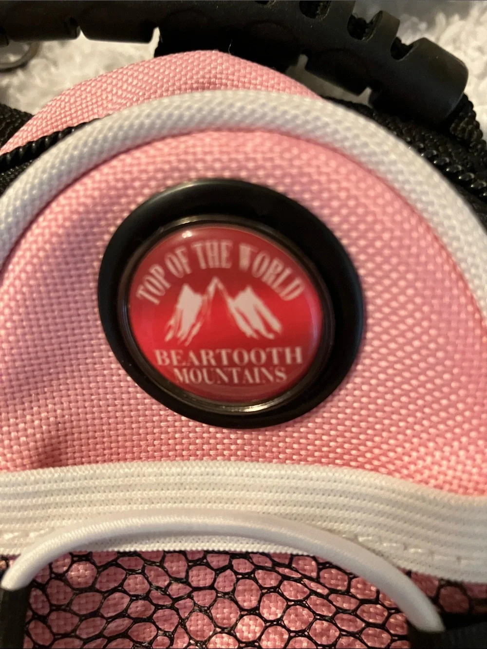Mini back pack